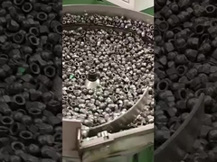 المكسرات ذات القبة السادسة