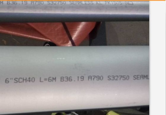 أنابيب الصلب غير الملحومة SCH10 ASTM A790 12 م على الوجهين